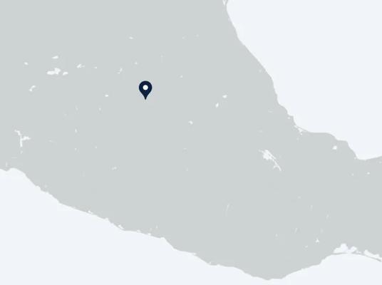 Screenshot with the pin showing Apodaca location