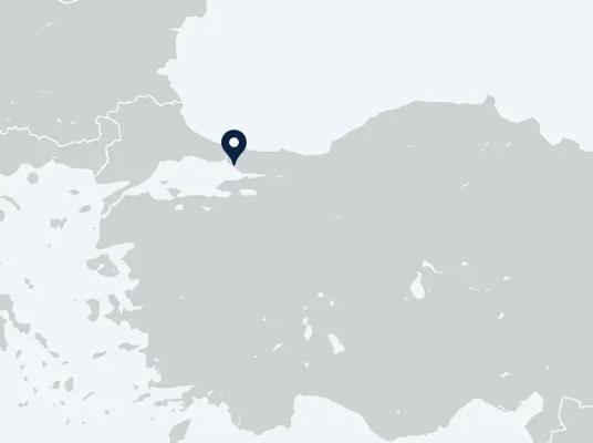 Screenshot of the map with the pin showing the location of Istanbul