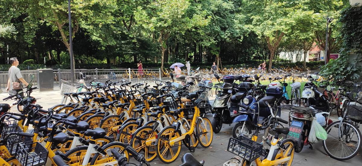 Bikes, both electric and man-­powered, are omnipresent on Shanghai's roads and sidewalks—and are another green means of transport.