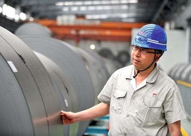 Tan Wenzhen, Vice President of Tangshan Iron and Steel Group, China
