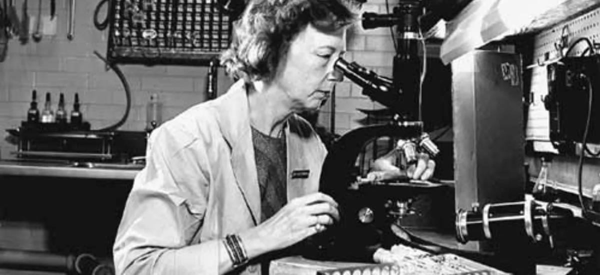 Dr. Dorothy Horstmann