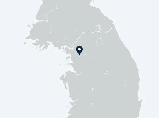 Screenshot of the map with the pin showing the location of Seoul